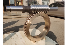 達(dá)涅利軋機(jī)壓下花鍵蝸輪副